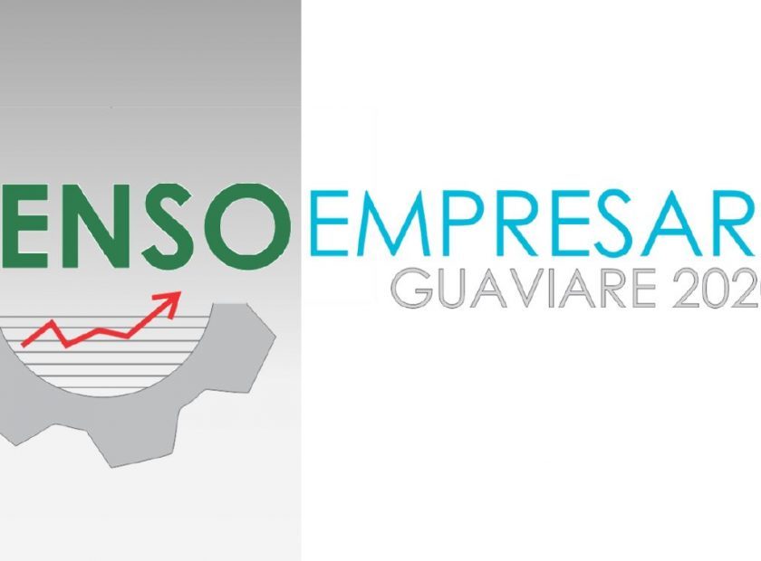 Banner informativo, sobre el Censo Empresarial Guaviare 2020