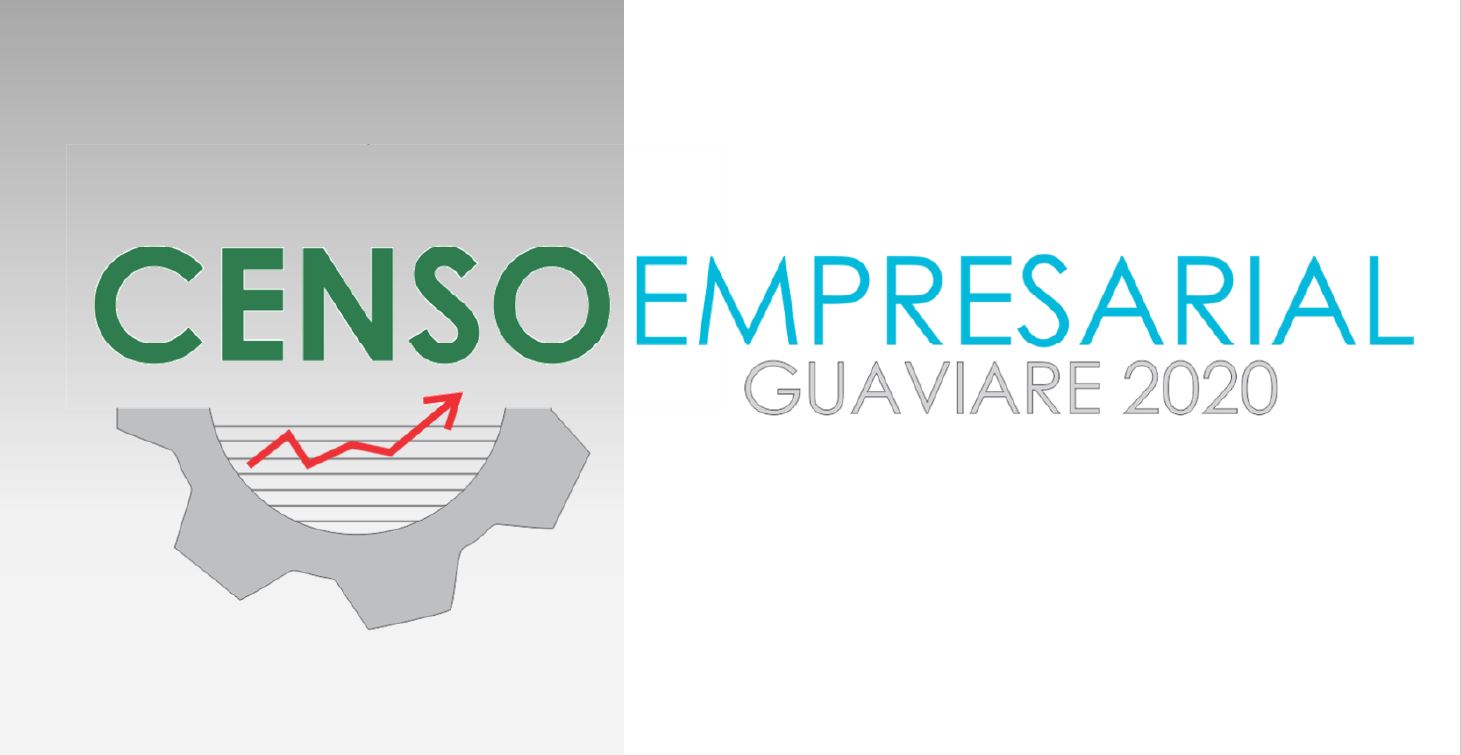 Banner informativo, sobre el Censo Empresarial Guaviare 2020